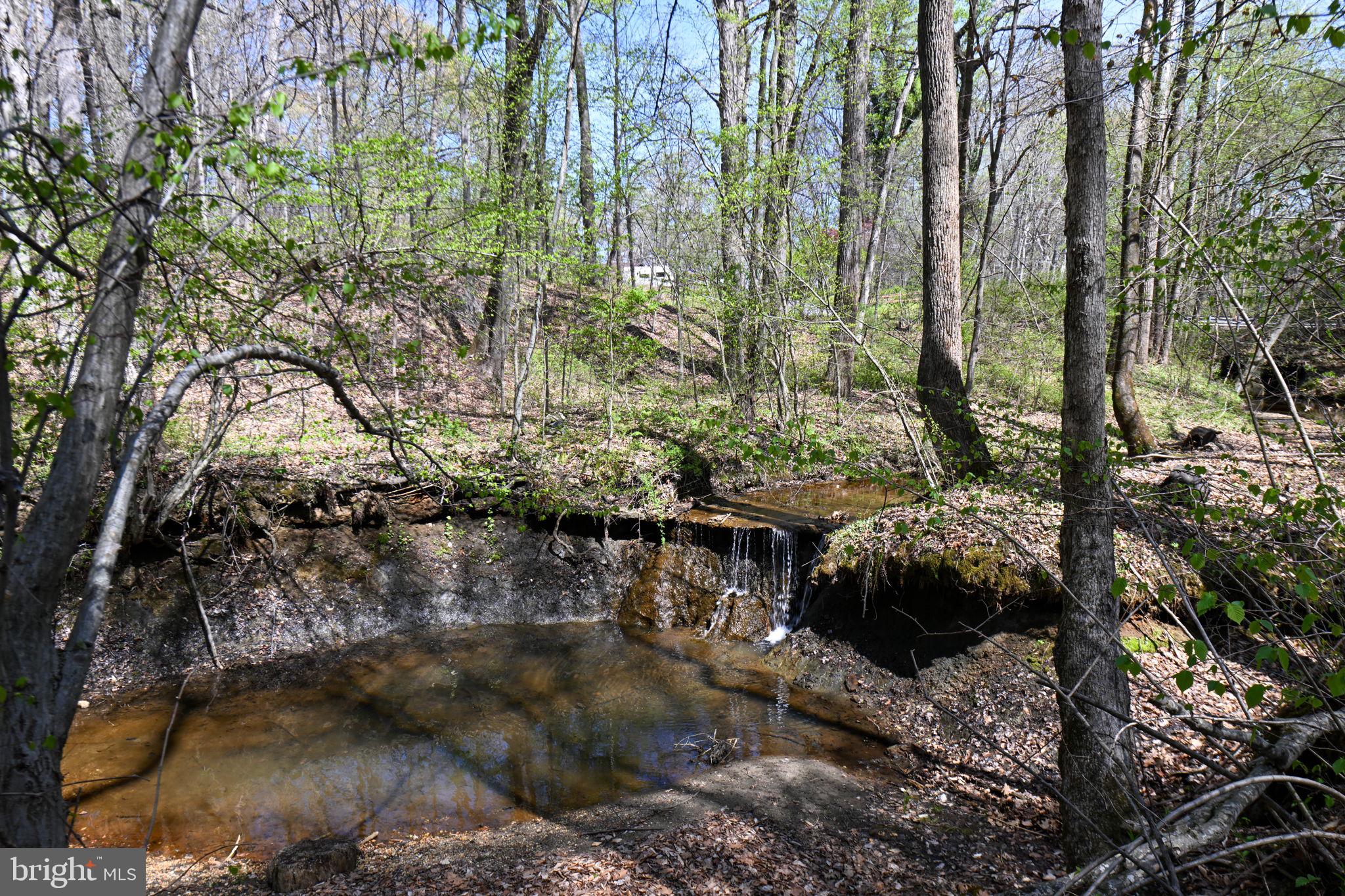 Patuxent River Road Davidsonville, MD 21035 - Photo 4 of 34