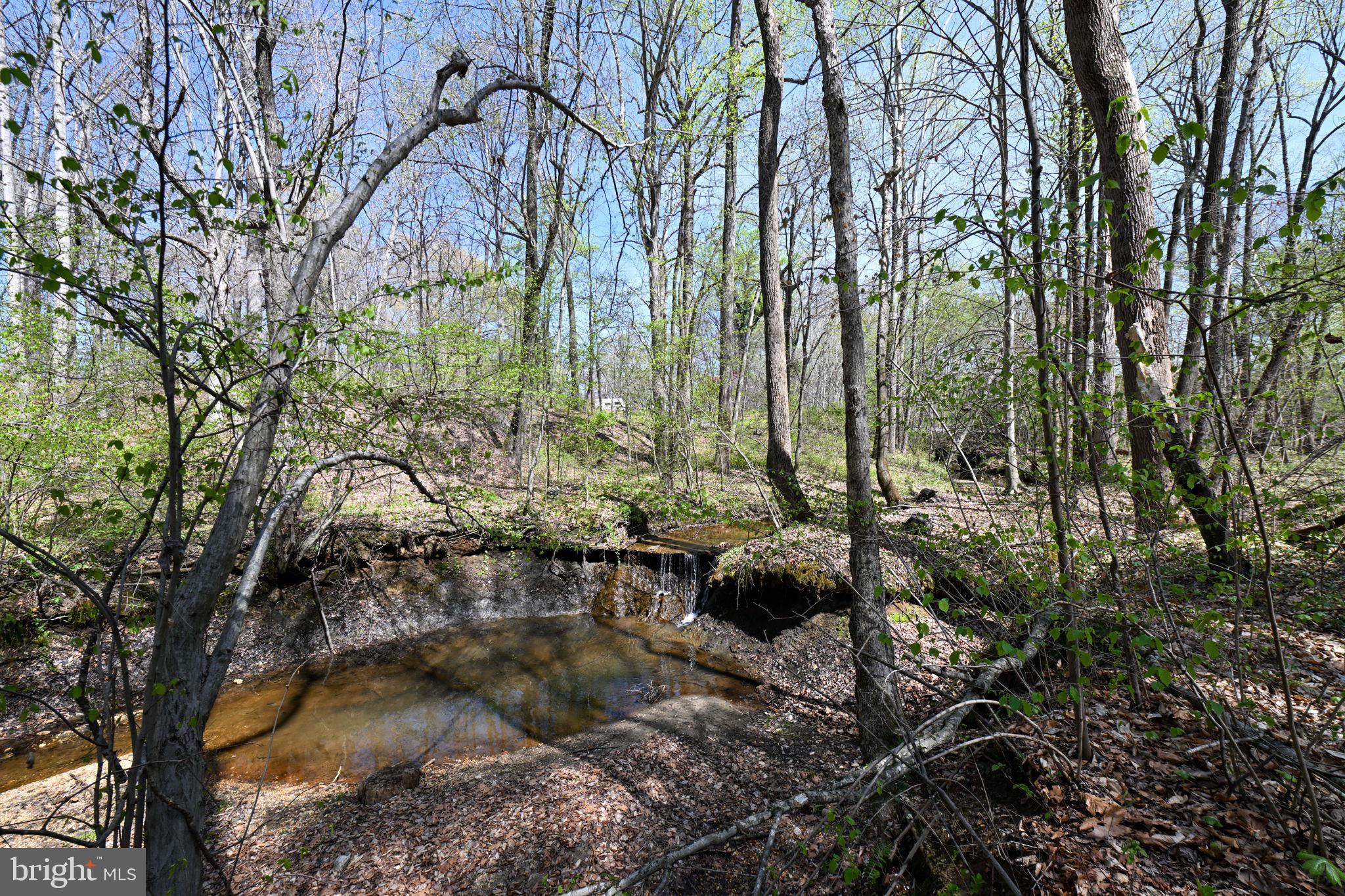 Patuxent River Road Davidsonville, MD 21035 - Photo 5 of 34