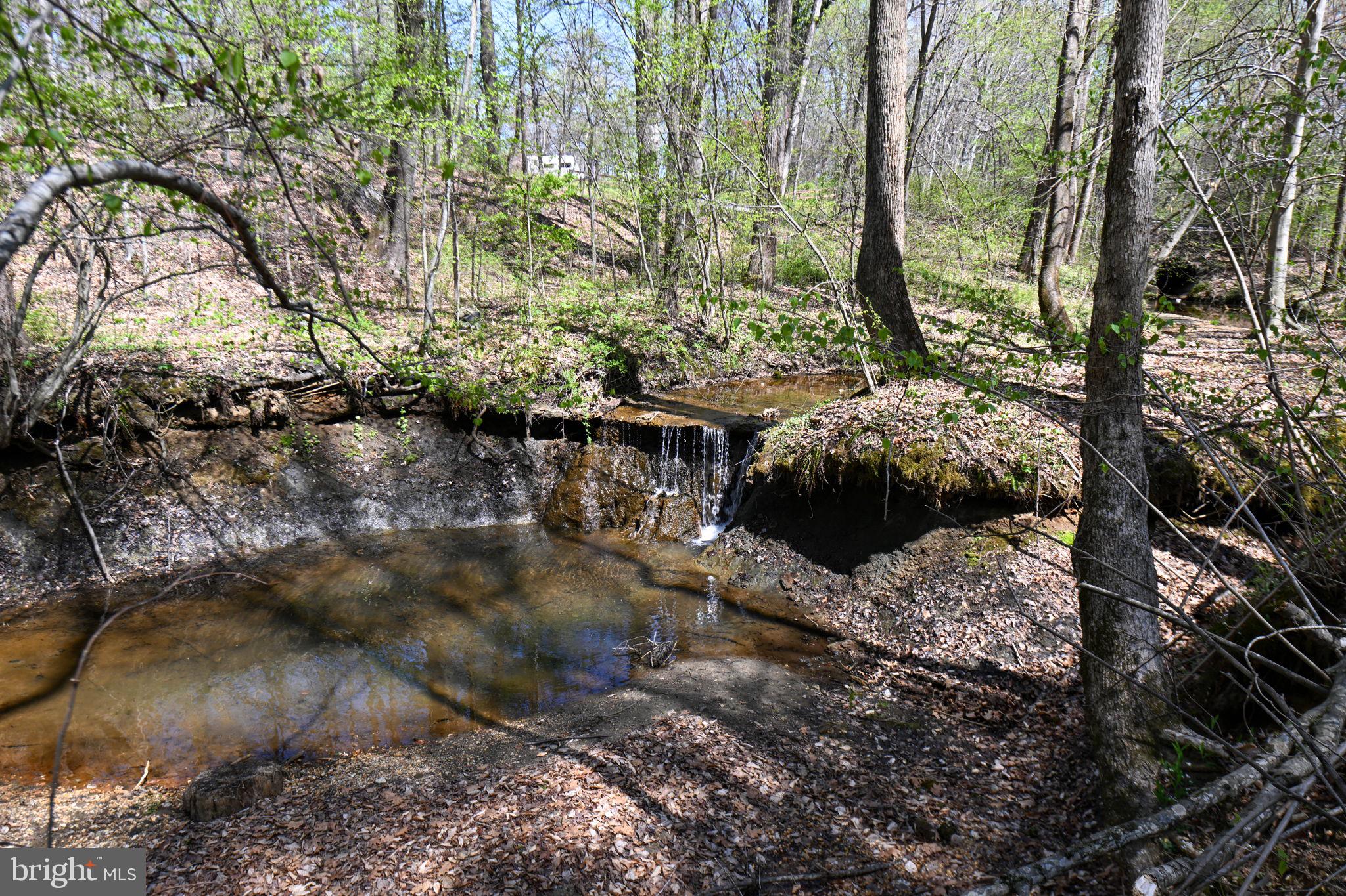 Patuxent River Road Davidsonville, MD 21035 - Photo 6 of 34