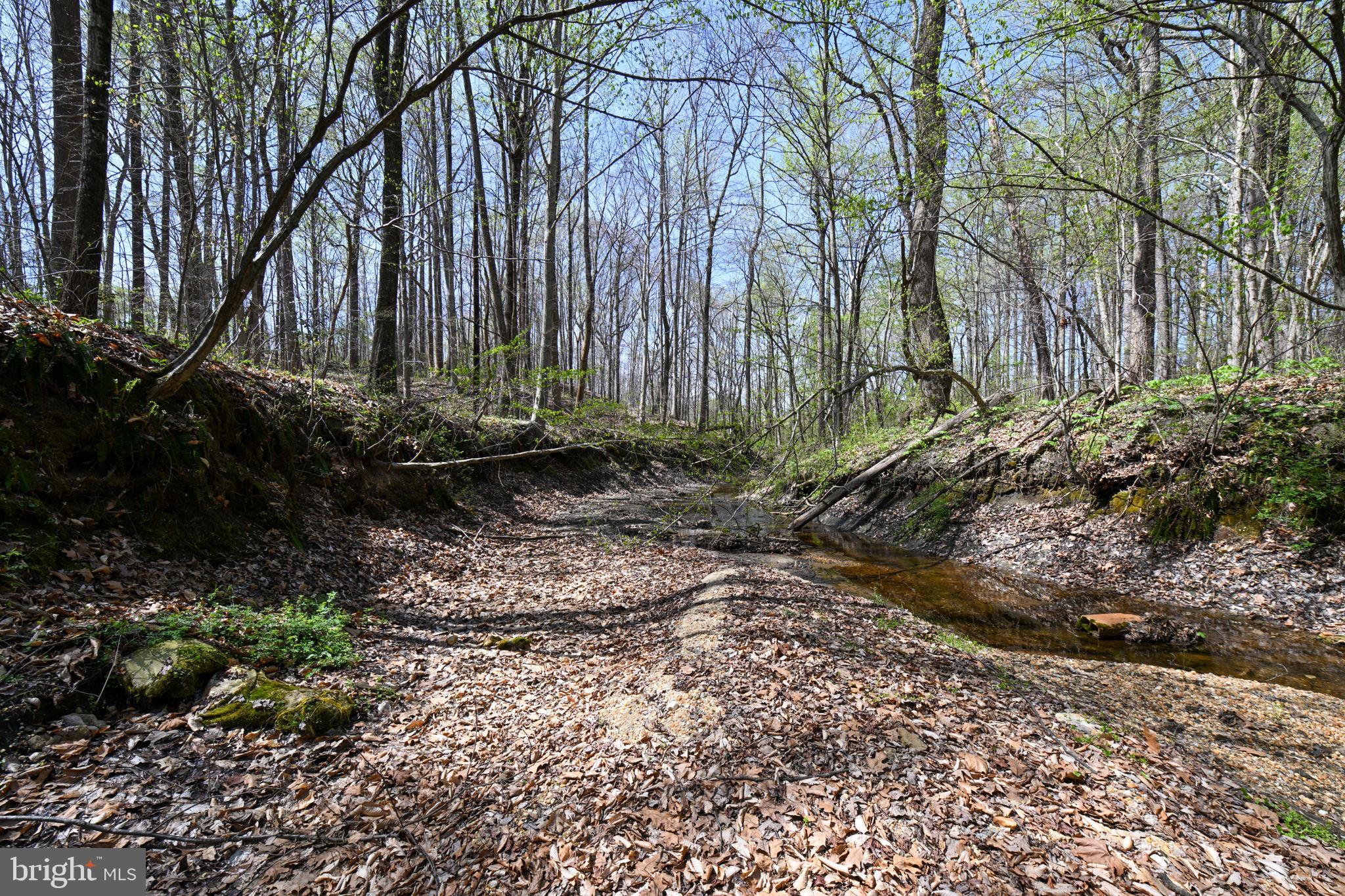 Patuxent River Road Davidsonville, MD 21035 - Photo 7 of 34