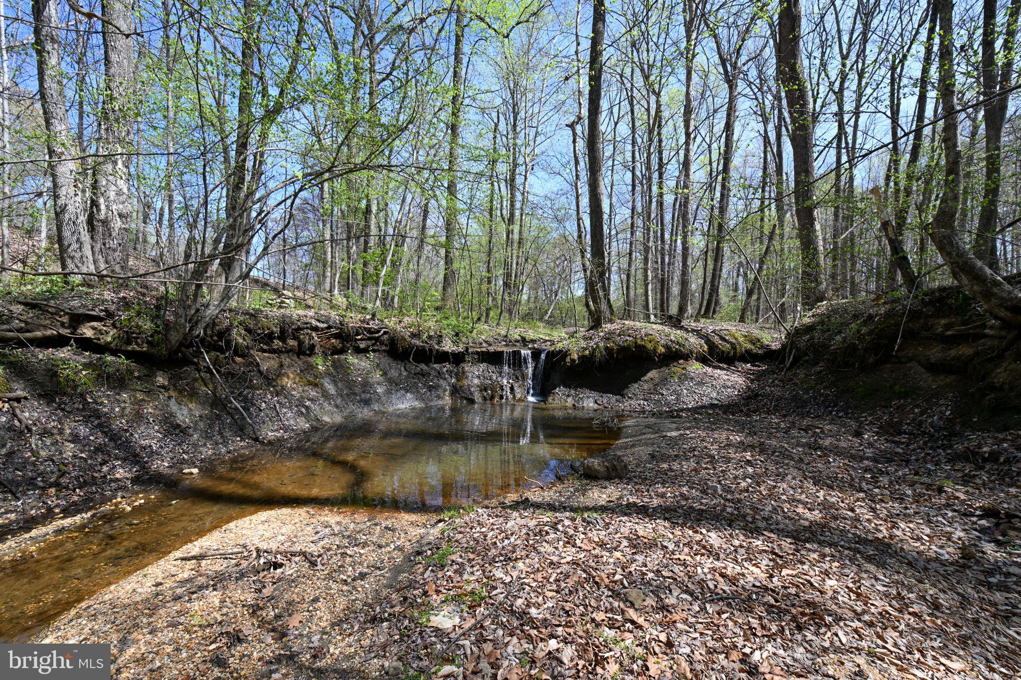 Patuxent River Road Davidsonville, MD 21035 - Photo 8 of 34