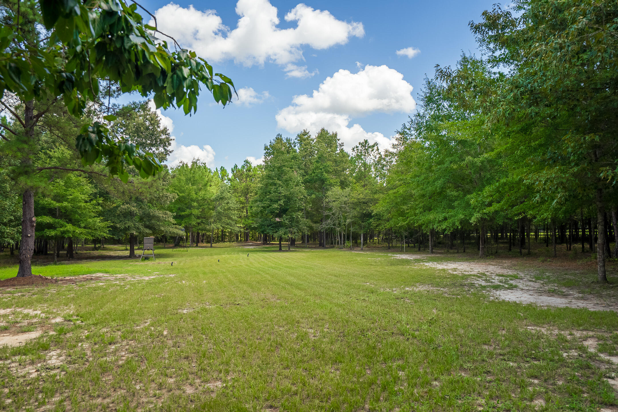 232 Colbert Bridge Road Windsor, SC 29856 - Photo 49 of 60 Gallery Image 49