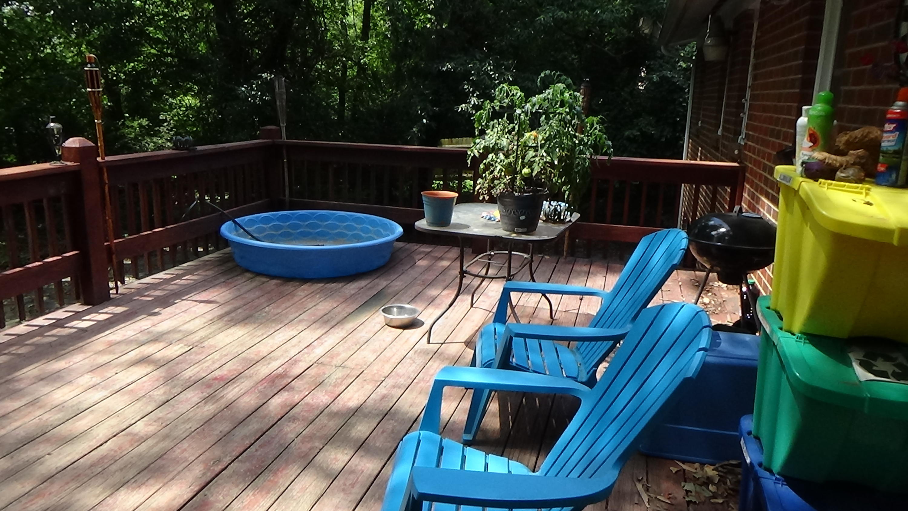 4926 Oakview Road Knoxville, TN 37918 - Photo 28 of 29 DSC00520