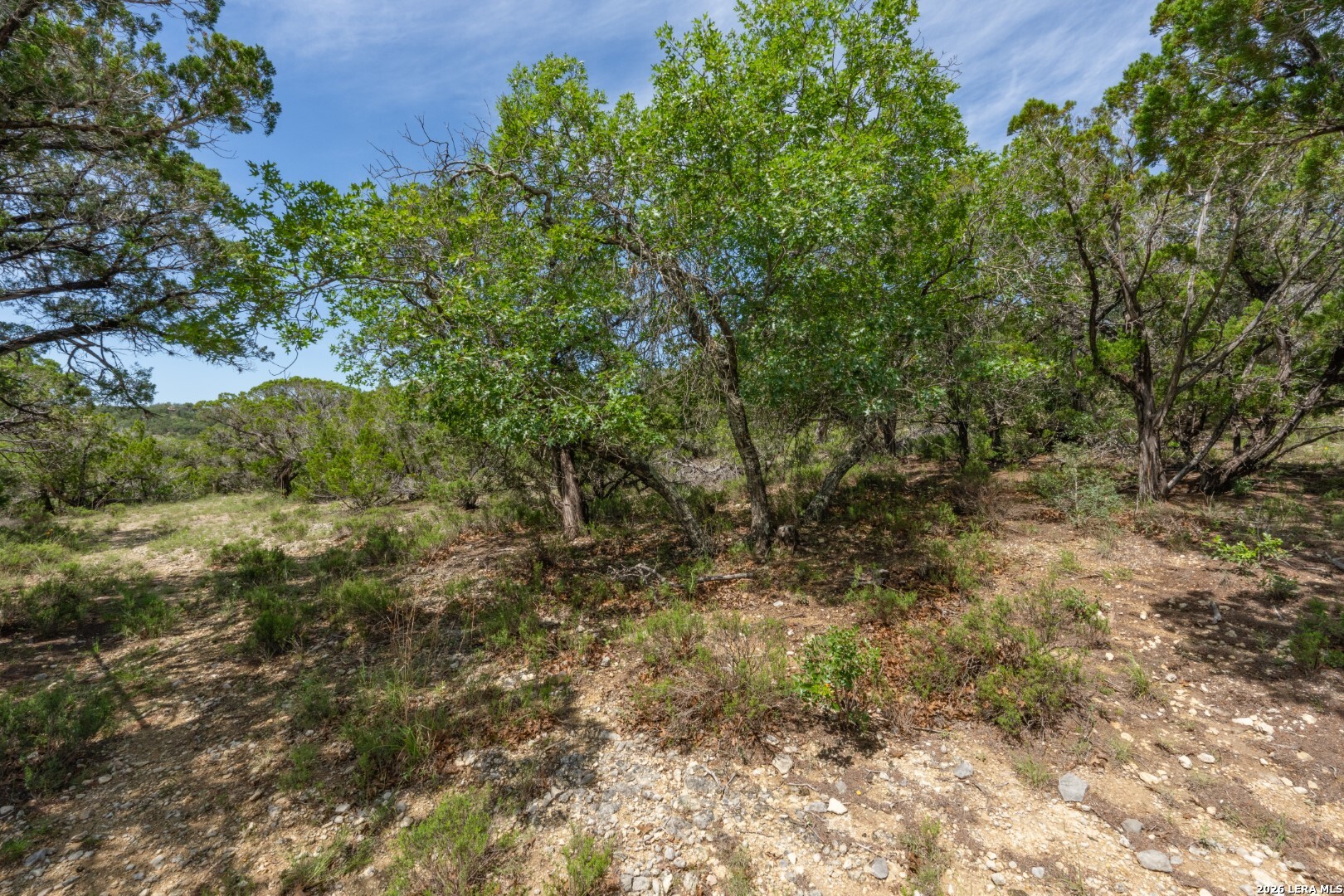447 Blessing Lane Utopia, TX 78884 - Photo 37 of 50