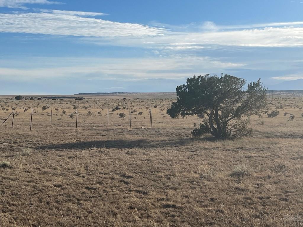 66 A Turkey Ridge Ranch Walsenburg, CO 81089 - Photo 5 of 13