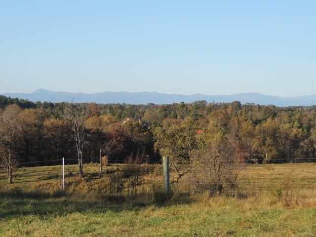 223 Williams Farm Road Seneca, SC 29678 - Photo 2 of 13 Gallery Image 2