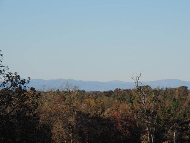 223 Williams Farm Road Seneca, SC 29678 - Photo 3 of 13 Gallery Image 3