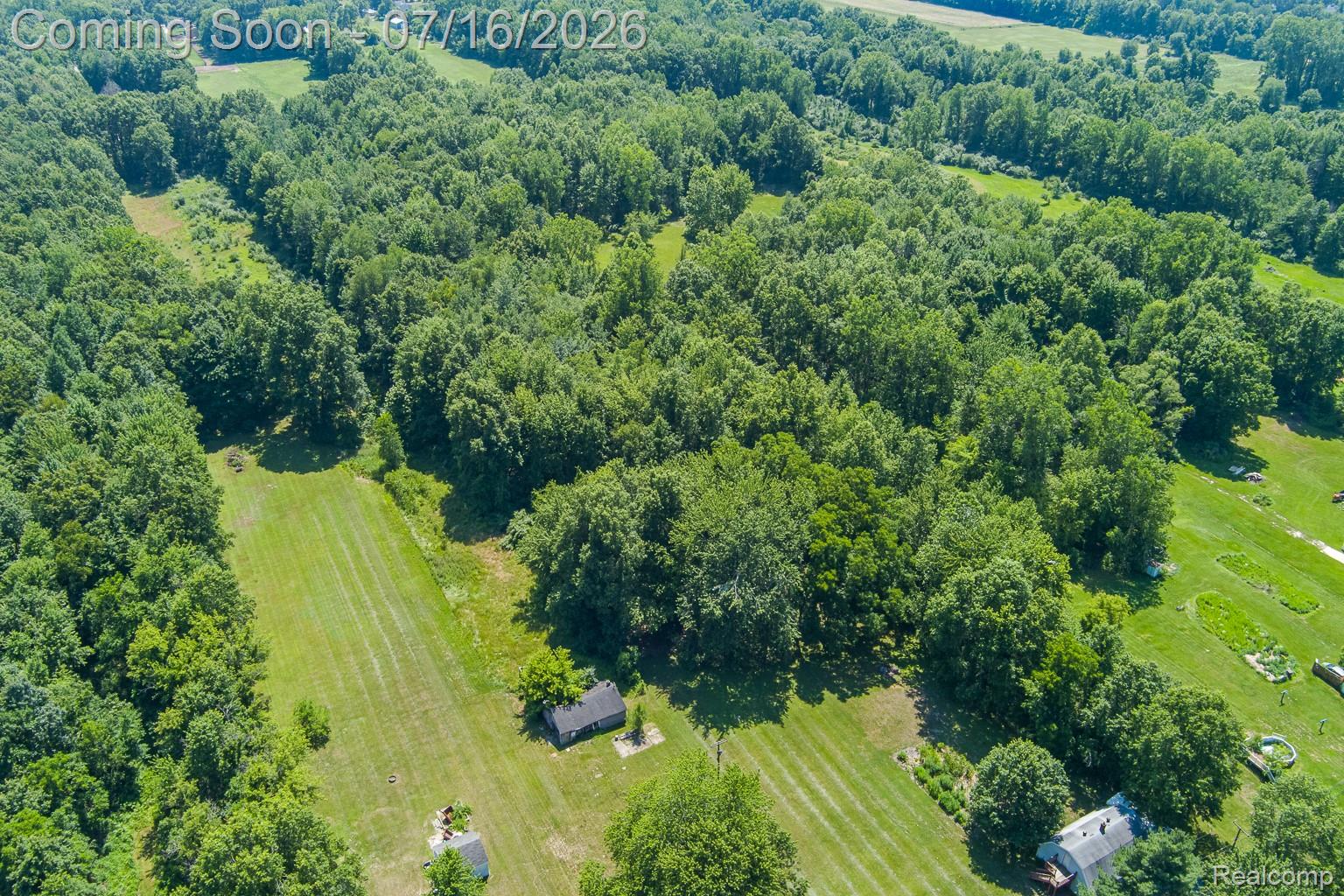 43995 Bemis Road Belleville, MI 48111 - Photo 64 of 67 Lots of deer and turkey on the property