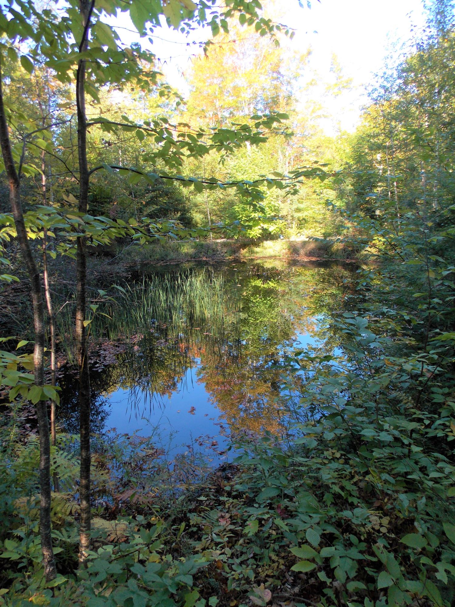 399 Number 10 Road Dexter, ME 04930 - Photo 48 of 64 DSCN3317
