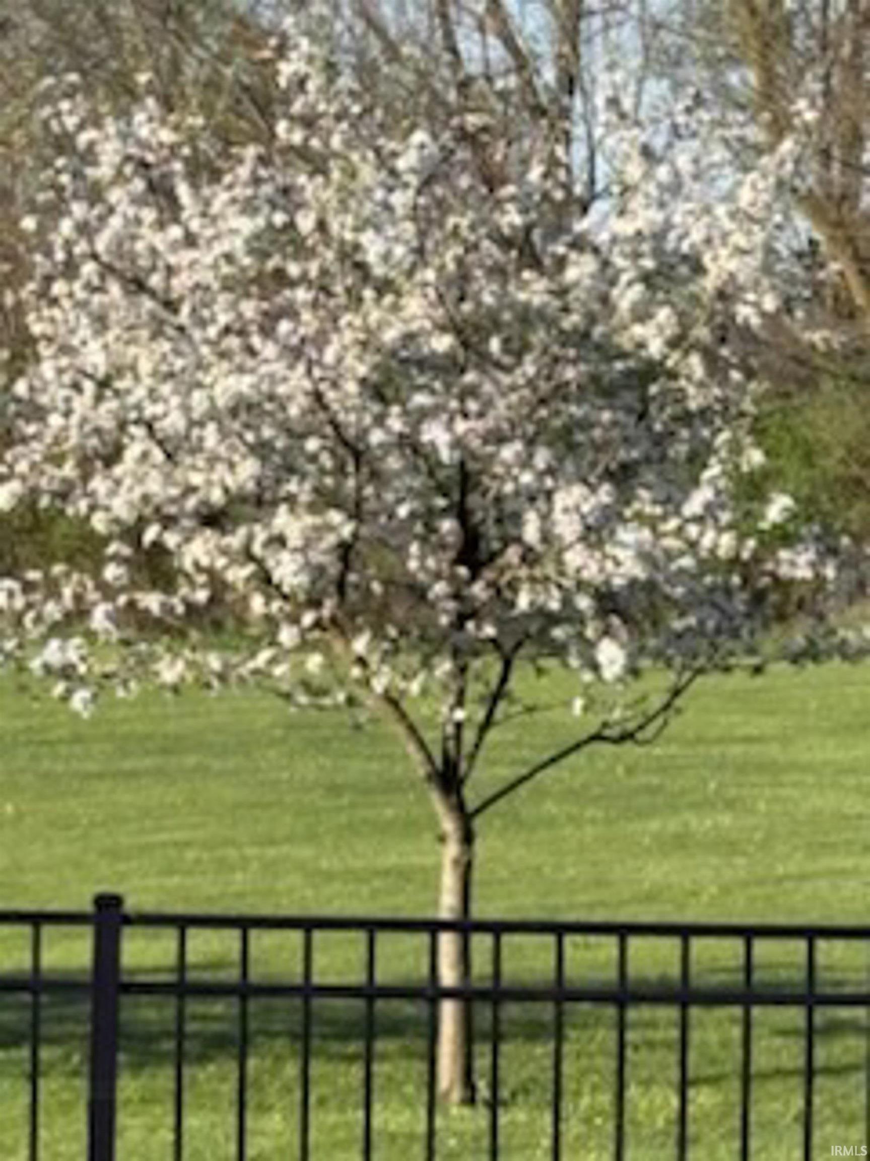 6620 Cr 11a Road Garrett, IN 46738 - Photo 33 of 36