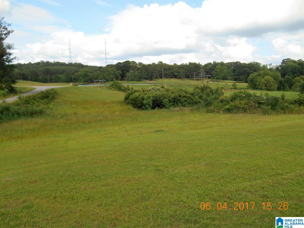 15518 Rd Runner Lane Cottondale, AL 35453 - Photo 35 of 38