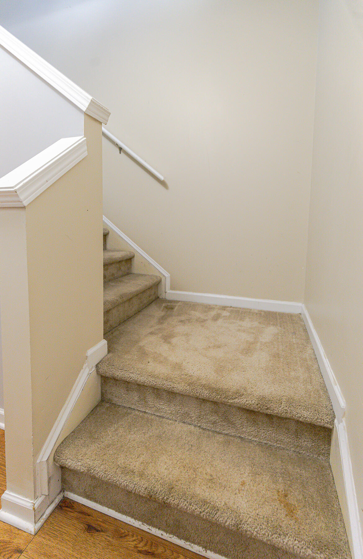 186 Brookhaven Road Summerville, SC 29486 - Photo 46 of 80 CM-49