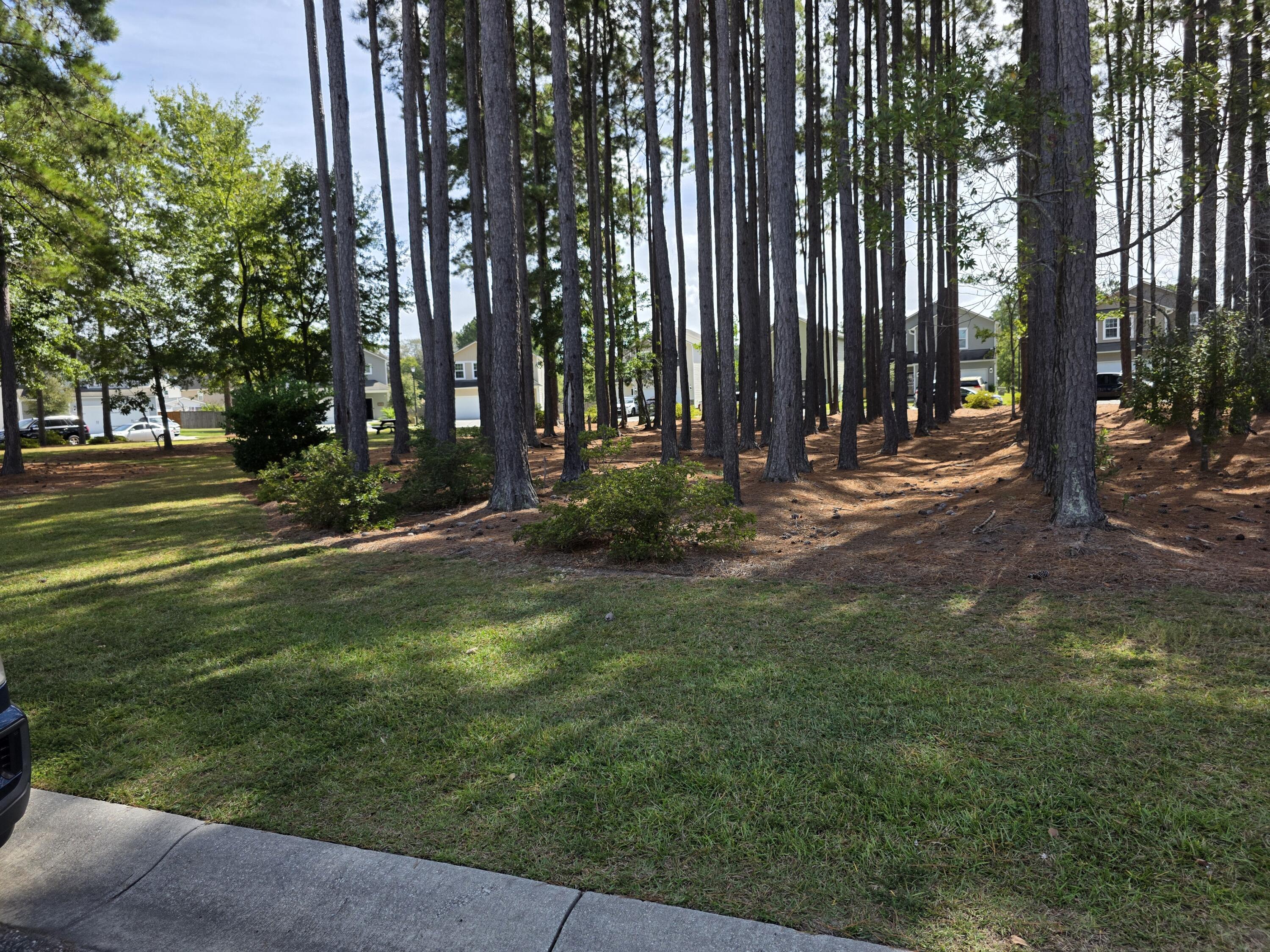 186 Brookhaven Road Summerville, SC 29486 - Photo 5 of 80 20251004_121509 (1)