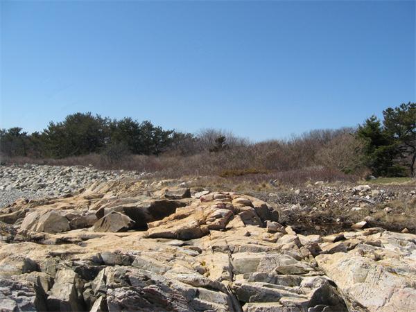 Gallery Image 7