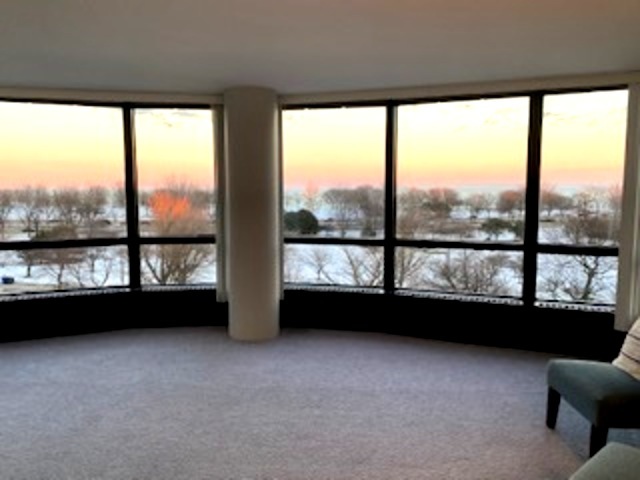 5415 North Sheridan Road, Unit 506 Chicago, IL 60640 - Photo 2 of 16