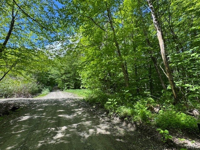 Harris Road Cincinnatus, NY 13040 - Photo 3 of 22 Gallery Image 3