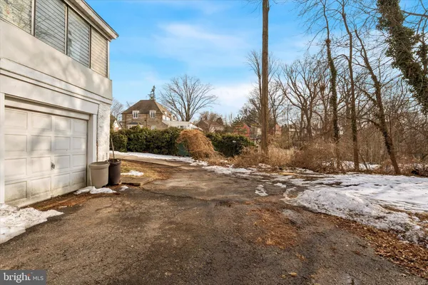 a view of a street with a tree
