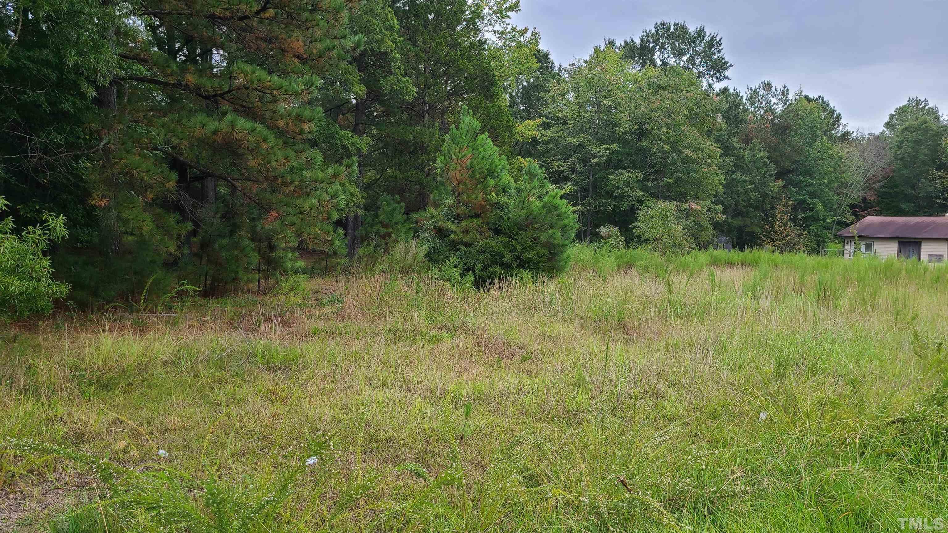 105 Snow Hill Road Durham, NC 27712 - Photo 8 of 15 a view of a lush green outdoor space with a lake view and trees
