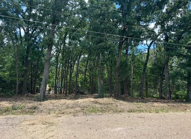 104 Red Bluff Loop Mabank, TX 75156 - Photo 2 of 8 a backyard of a house with lots of trees