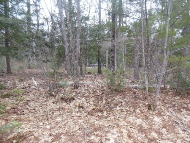 Map1-lot14 Edinburg Road Howland, ME 04448 - Photo 5 of 7 DSCN2971