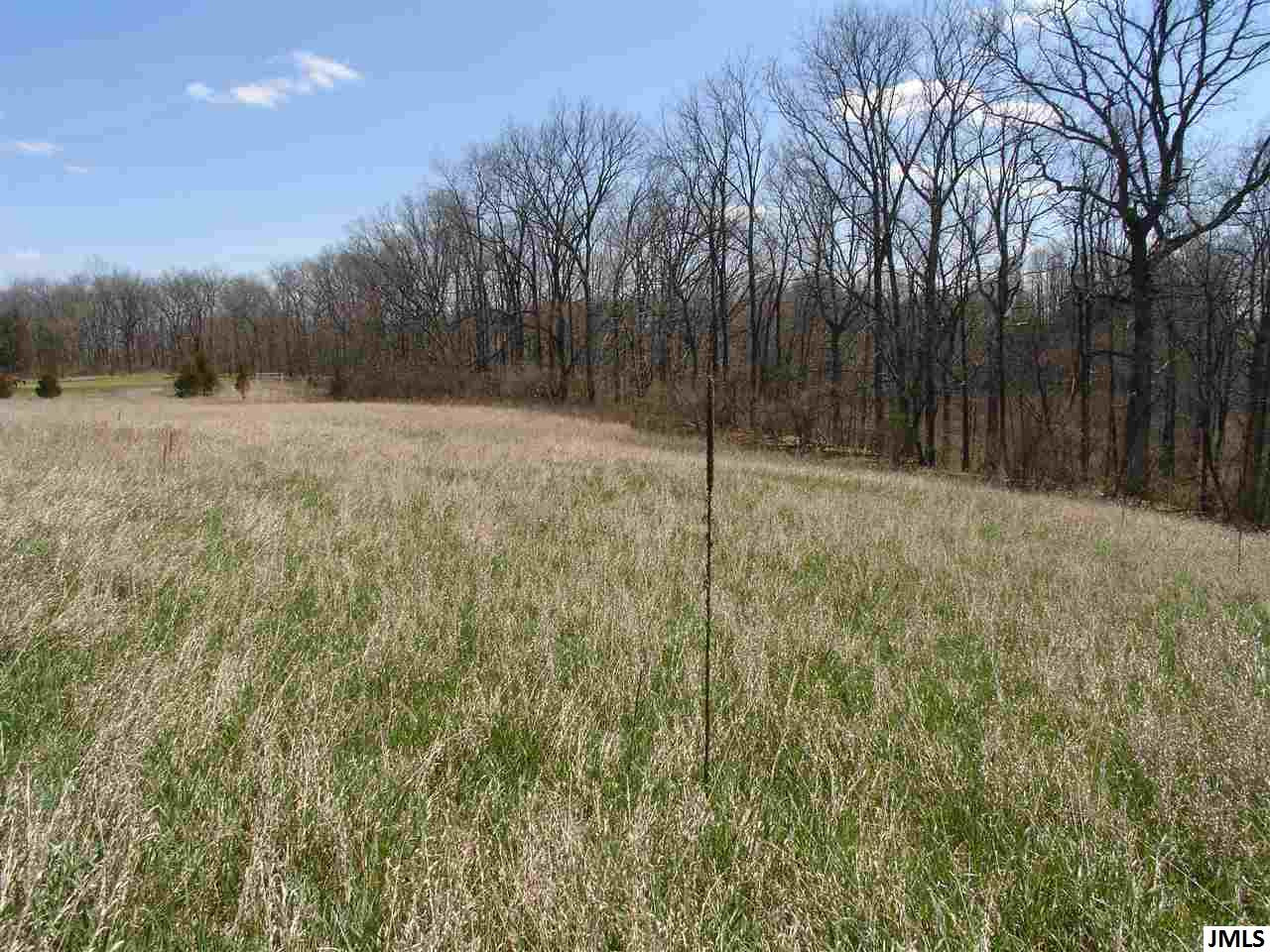 7157 Riverside Road Brooklyn, MI 49230 - Photo 3 of 5 Photo 4