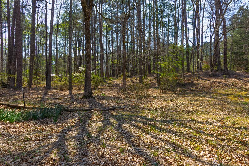 1026 Denney Road Cataula, GA 31804 - Photo 37 of 39