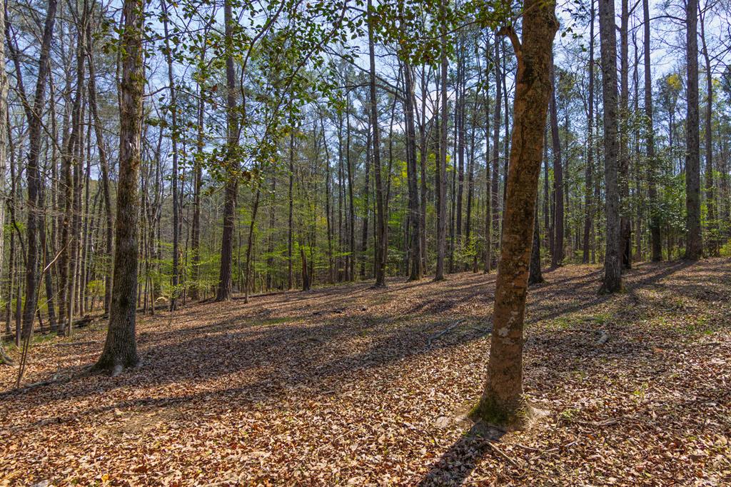 1026 Denney Road Cataula, GA 31804 - Photo 38 of 39