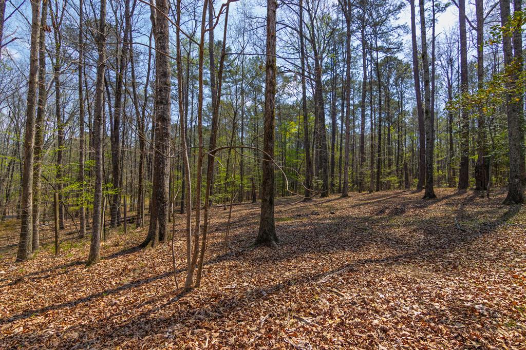 1026 Denney Road Cataula, GA 31804 - Photo 39 of 39