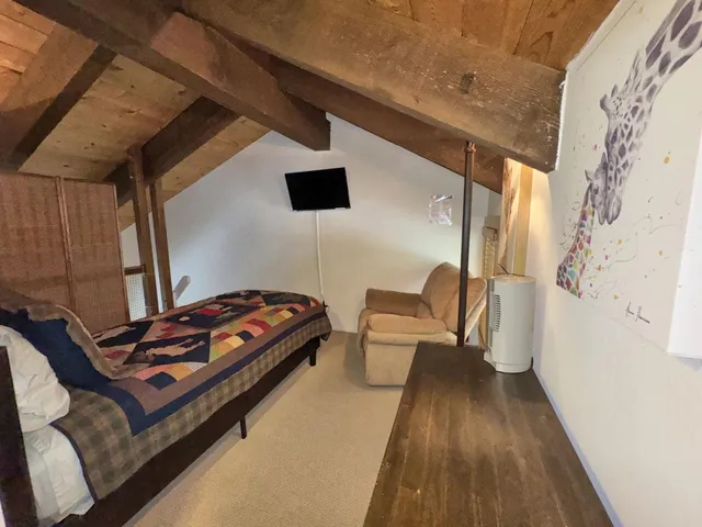 a bedroom with a bed and a couch