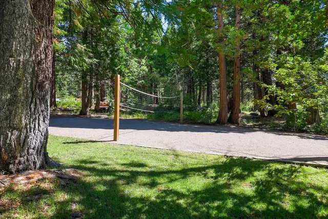 a view of backyard with large tree and wooden fence