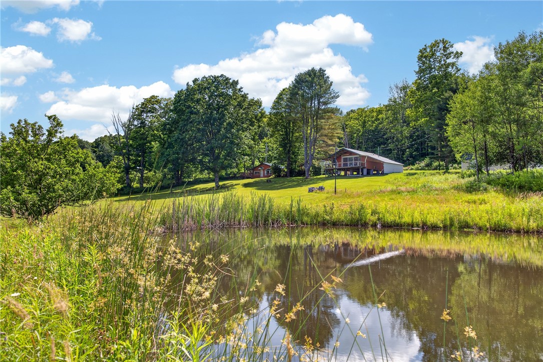 970 Clark Road Sidney Center, NY 13839 - Photo 6 of 48