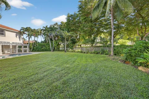 a view of a park with large trees