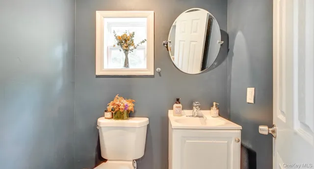 a bathroom with a toilet a sink and a mirror