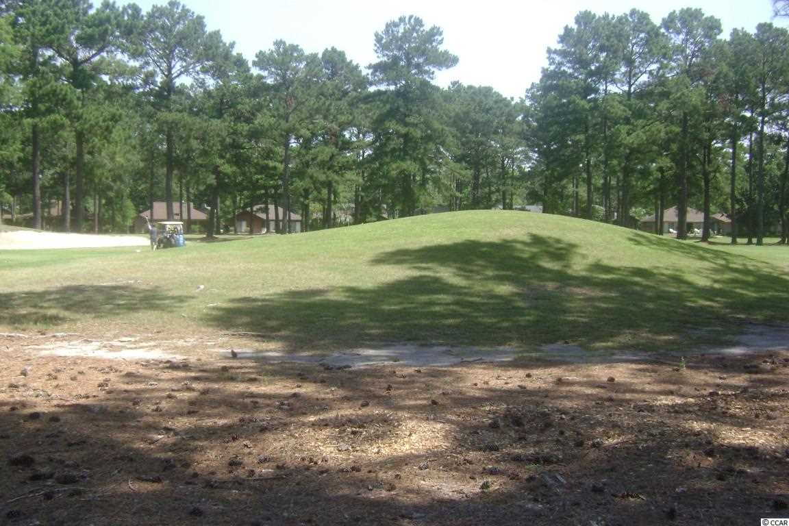 8203 Timber Ridge Road Conway, SC 29526 - Photo 8 of 25 Gallery Image 8