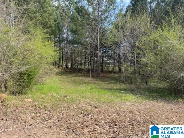2659 Oldfield Road, Unit 1 Sylacauga, AL 35150 - Photo 4 of 5