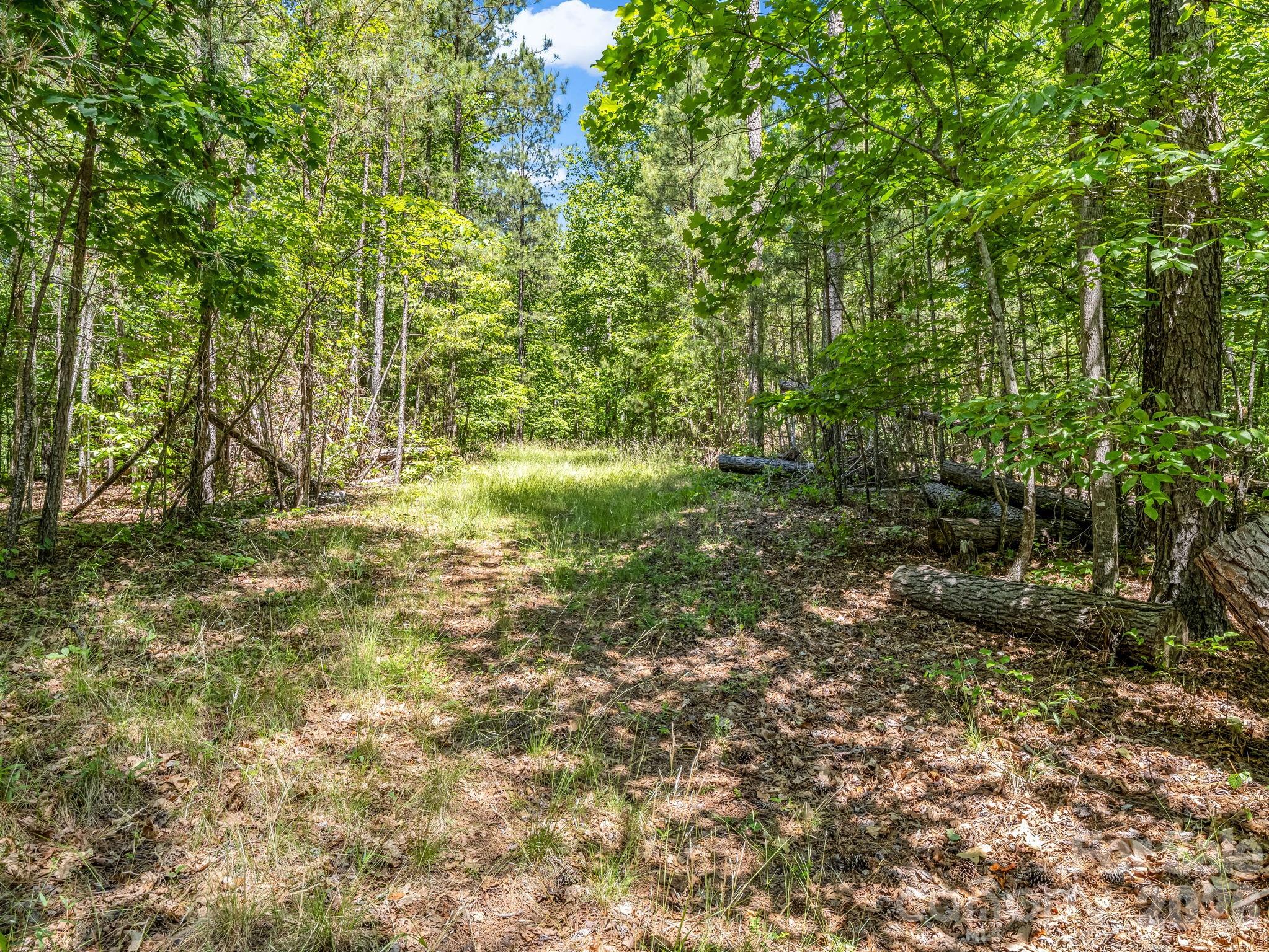 0 Jim Dobbins Road Rutherfordton, NC 28139 - Photo 32 of 39 a view of yard