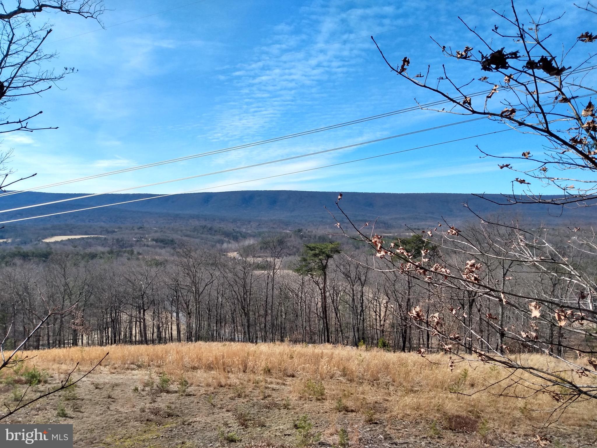 2562 Timber Ridge Road Berkeley Springs, WV 25411 - Photo 3 of 3