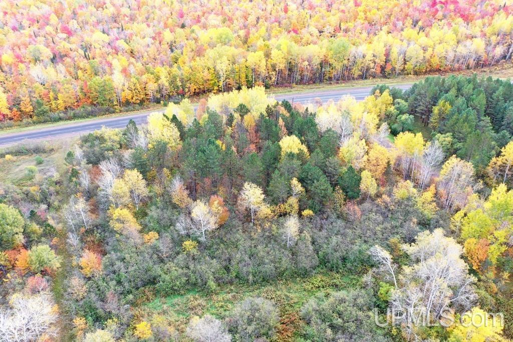 Tbd L P Walsh Road Ontonagon, MI 49953 - Photo 4 of 13