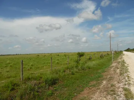 $52,325 | Tract C Greathouse Road, Lake Charles, LA 70607