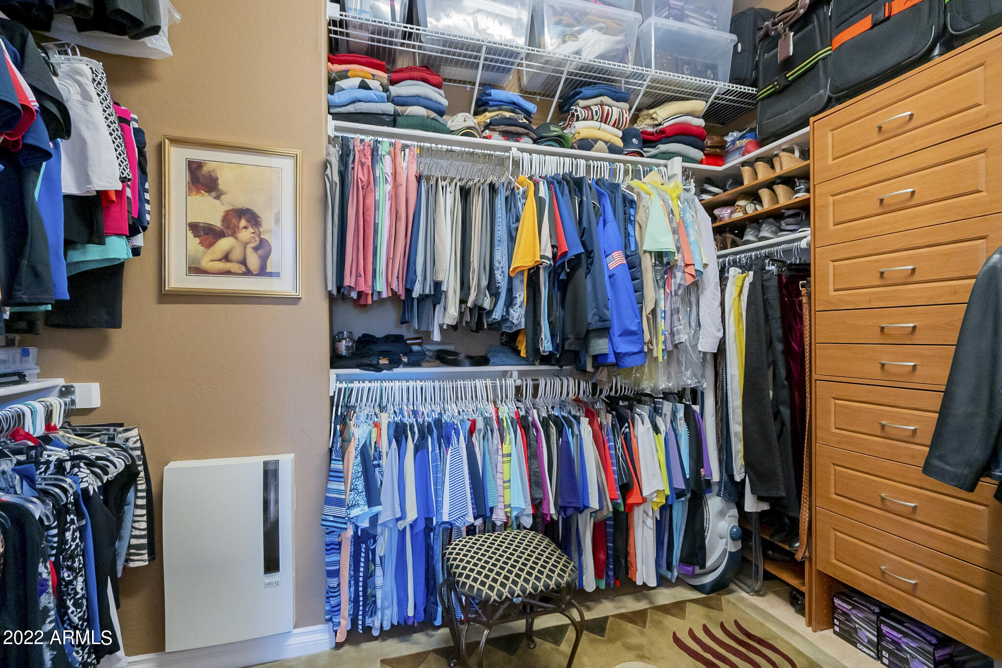 1611 East Grand Ridge Road Queen Creek, AZ 85140 - Photo 40 of 84 Primary closet