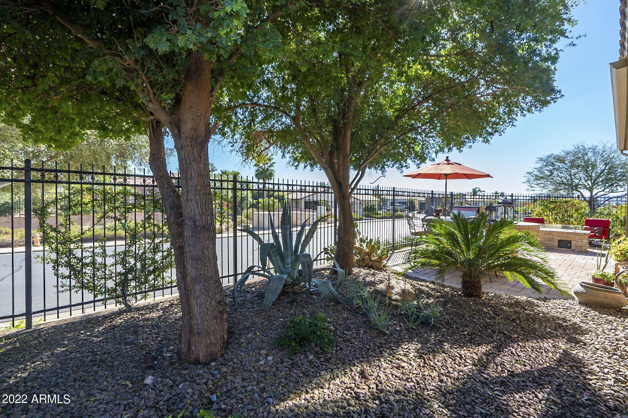 1611 East Grand Ridge Road Queen Creek, AZ 85140 - Photo 6 of 84 Backyard