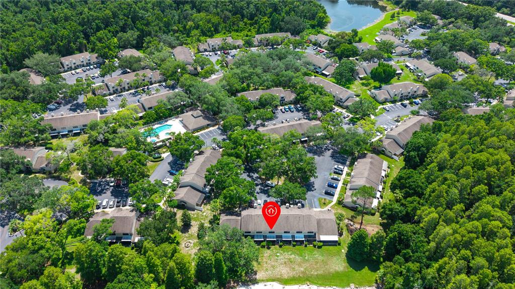 5100 Burchette Road, Unit 404 Tampa, FL 33647 - Photo 25 of 41
