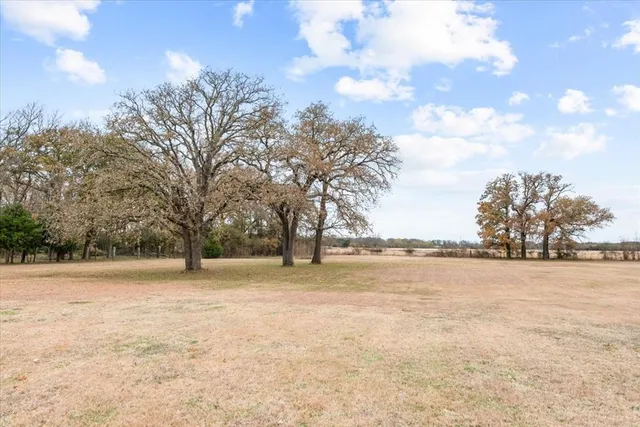 a view of an ocean beach