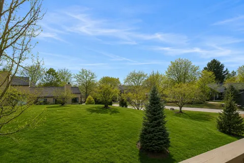a view of garden