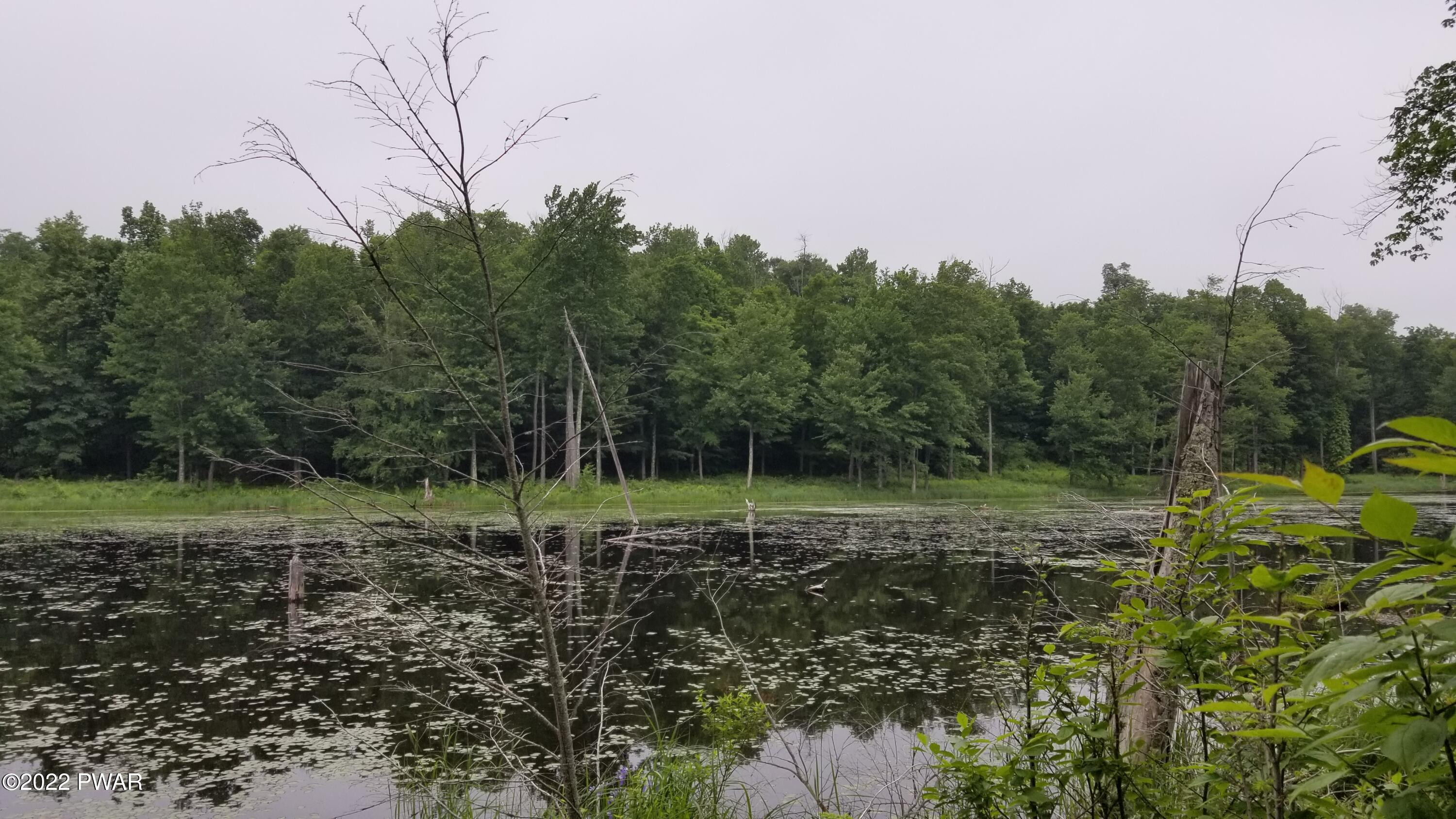 Lot 80 Stonegate Road Equinunk, PA 18417 - Photo 13 of 58
