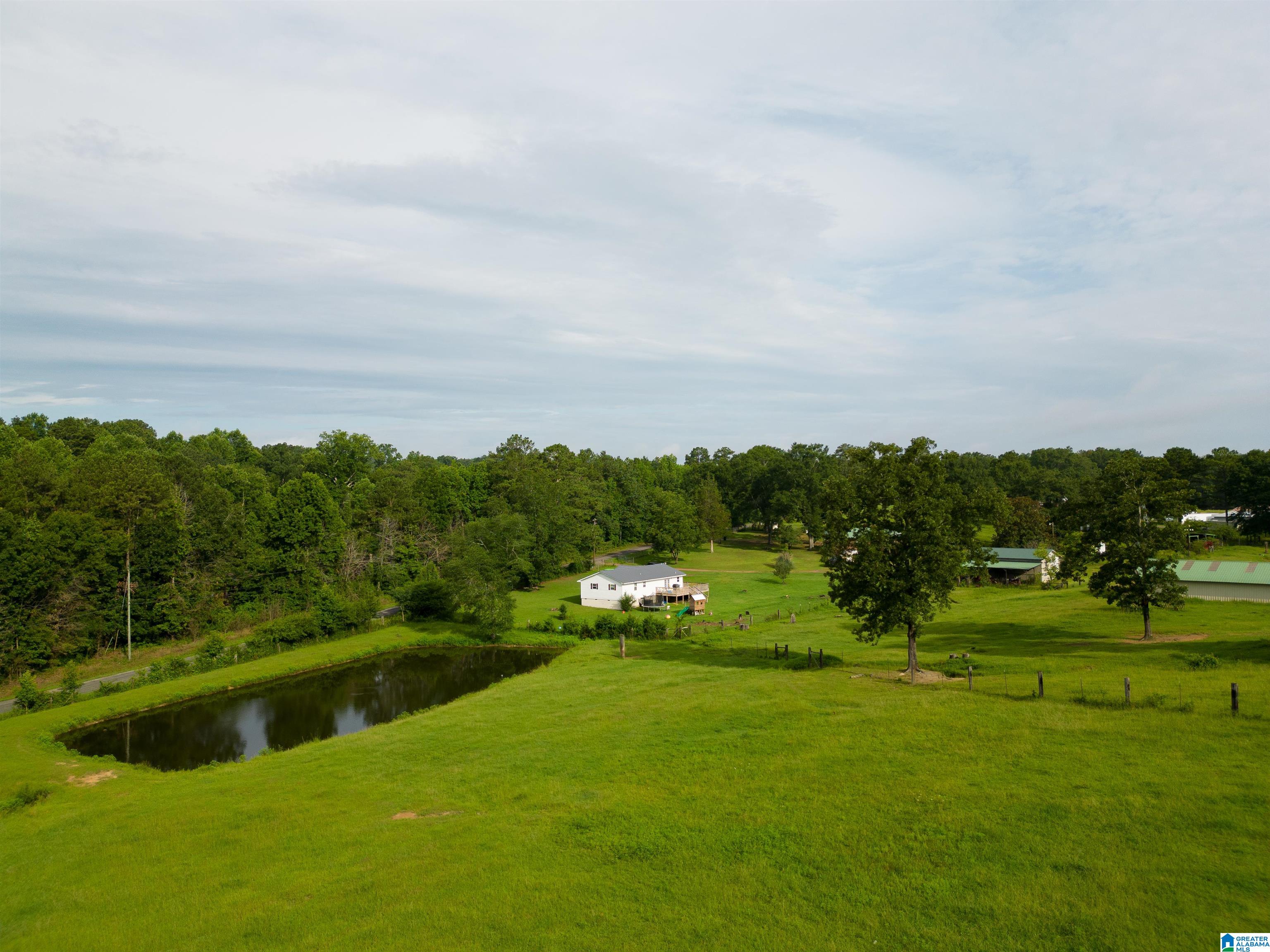 5101 Reeder Road Dora, AL 35062 - Photo 10 of 10