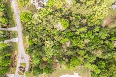 a view of a tree with a yard
