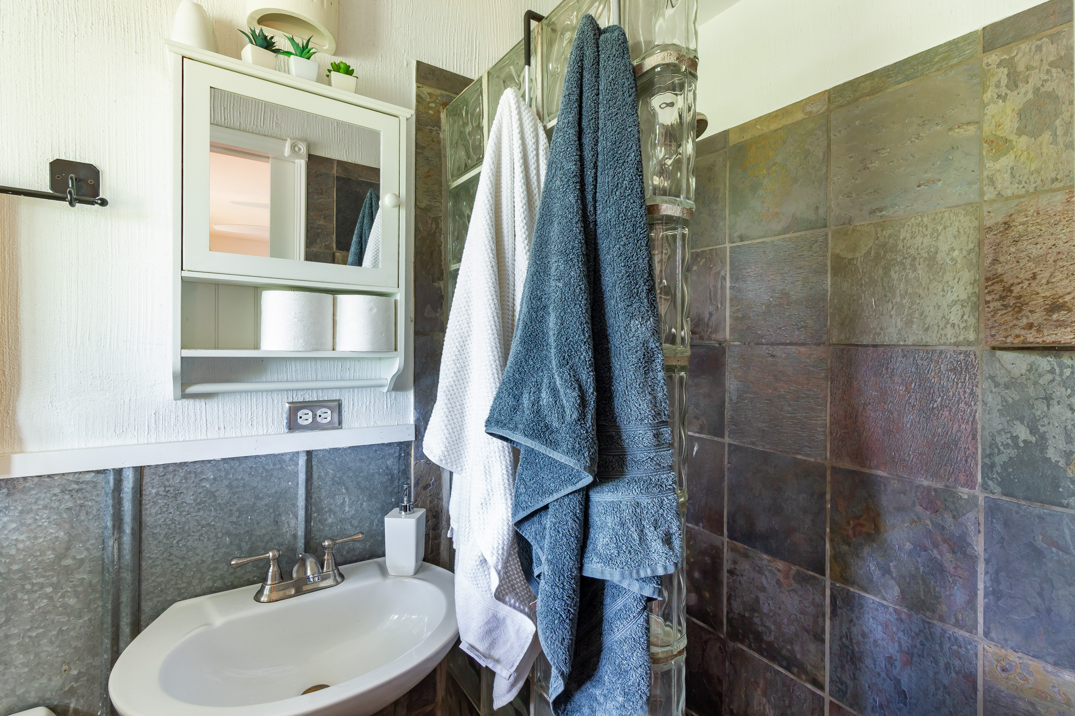 2809 Rae Dell Avenue Austin, TX 78704 - Photo 14 of 34 Primary bath with shower