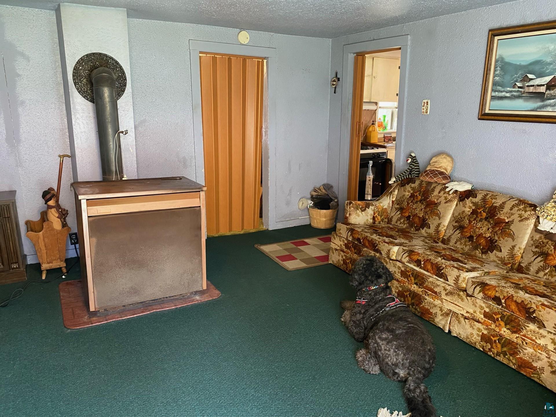 W6402 Old Bass Lake Road Minong, WI 54859 - Photo 9 of 18 Living room with a wood stove, carpet, and a textured ceiling