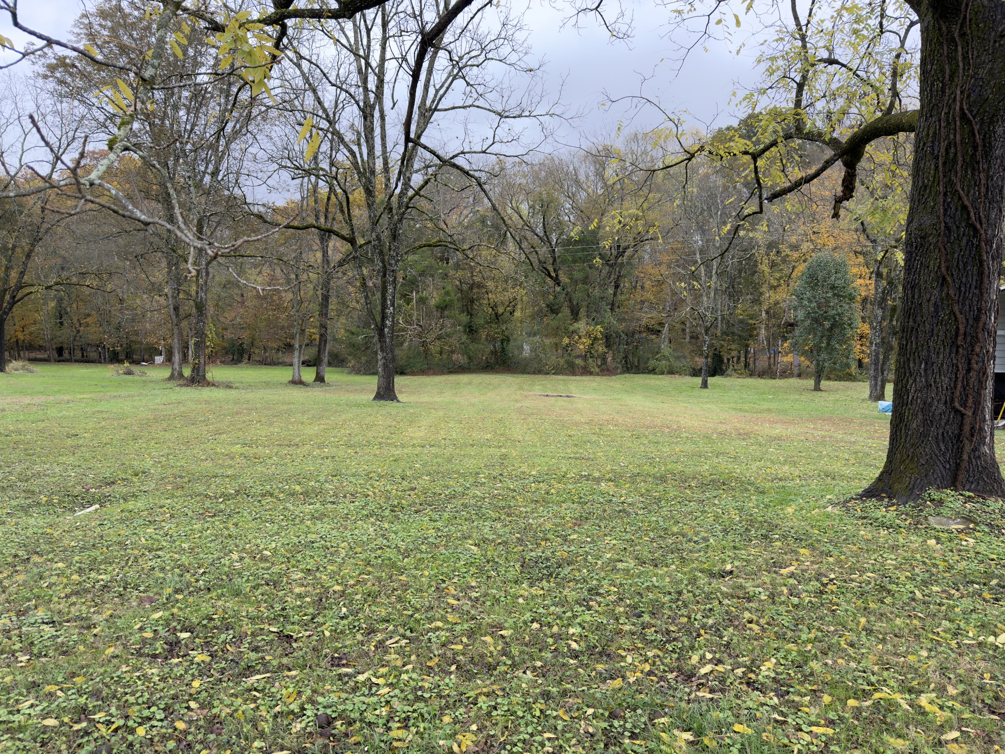2594 Faulkner Springs Road McMinnville, TN 37110 - Photo 5 of 17 a view of outdoor space with a garden and trees